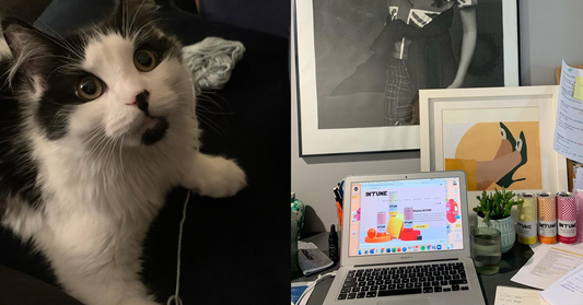 Working from home: What we’ve learnt