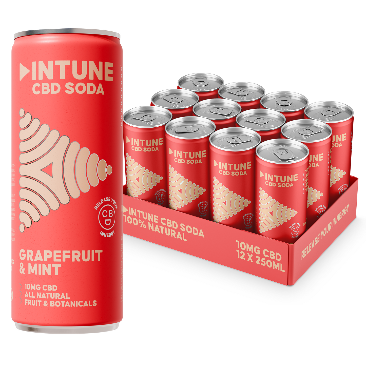 INTUNE GRAPEFRUIT & MINT CBD SODA