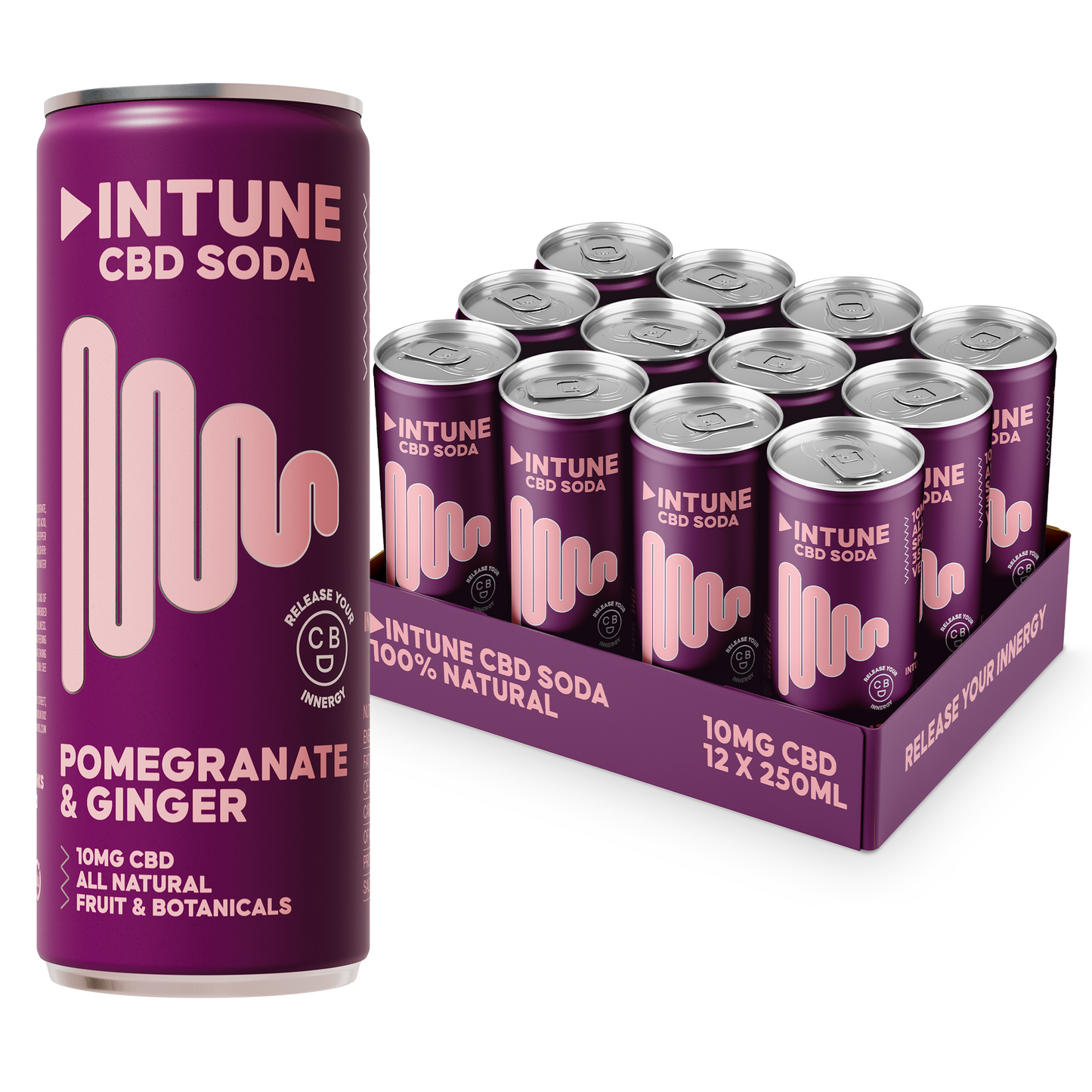 INTUNE POMEGRANATE & GINGER CBD SODA