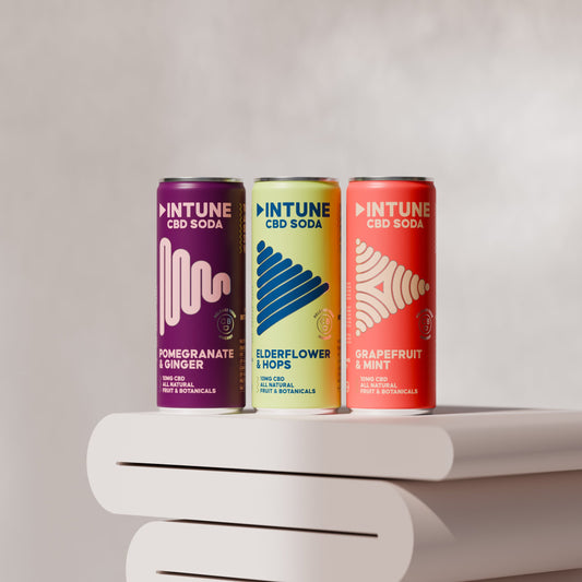 Three current INTUNE CBD drinks in Pomegranate and Ginger, Elderflower and Hops, and Grapefruit and Mint