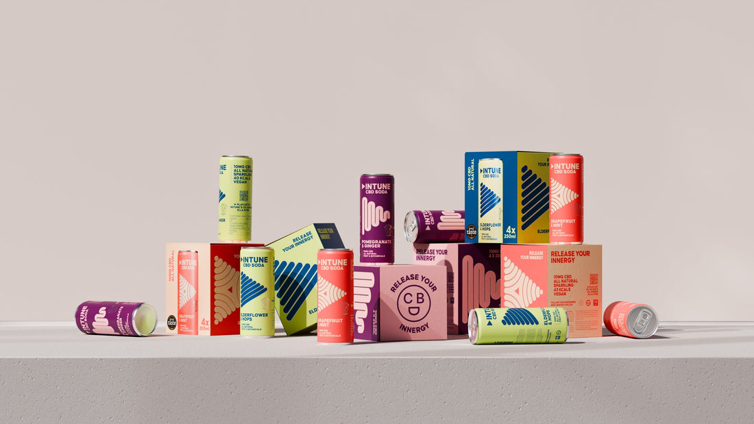 CBD Drinks for Focus: How They Fit Your Day