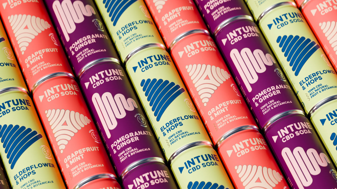 Current INTUNE CBD sodas as an alcohol-free drink choice