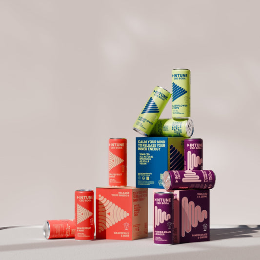 INTUNE CBD drinks mixed pack with three current cans