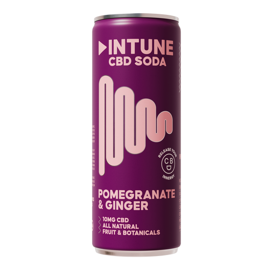 INTUNE Pomegranate and Ginger CBD soda made with CBD isolate