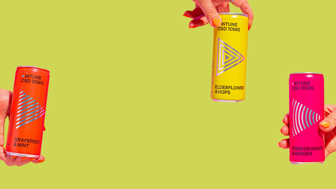 Discover INTUNE CBD Soda