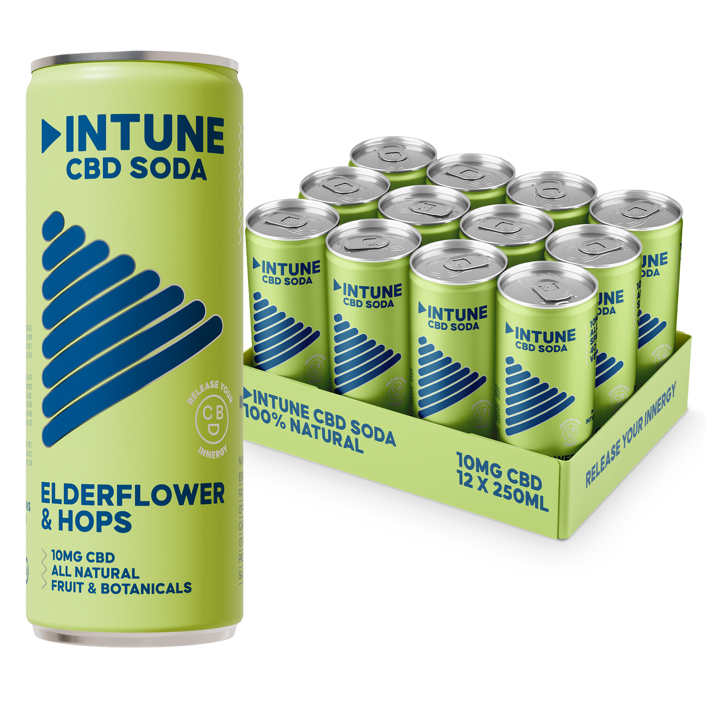 INTUNE ELDERFLOWER & HOPS CBD SODA